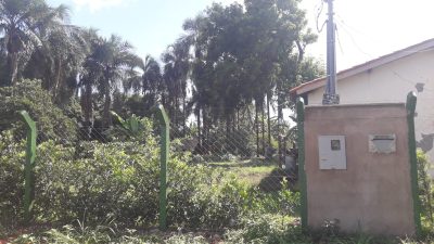 Chácara, 1 quarto, 5000 m² - Foto 3