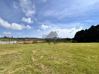 Terreno, 3752 m² - Foto 5
