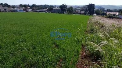 Terreno, 4 hectares - Foto 2