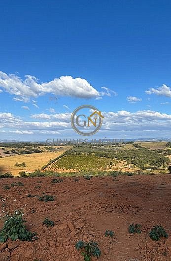 Fazenda, 110 hectares - Foto 4