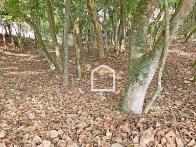 Loteamento e Condomínio, 1334 m² - Foto 3