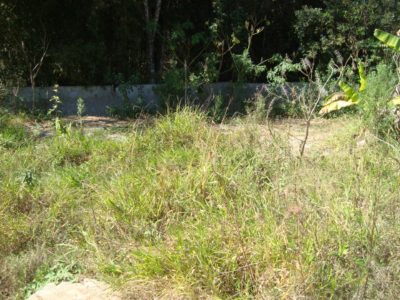 Terreno, 3742 m² - Foto 3