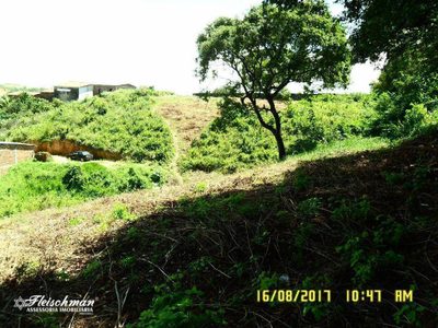 Terreno, 6600 m² - Foto 5