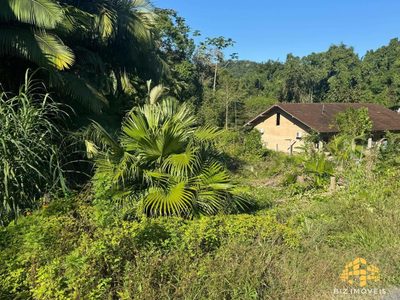 Terreno, 3674 m² - Foto 4