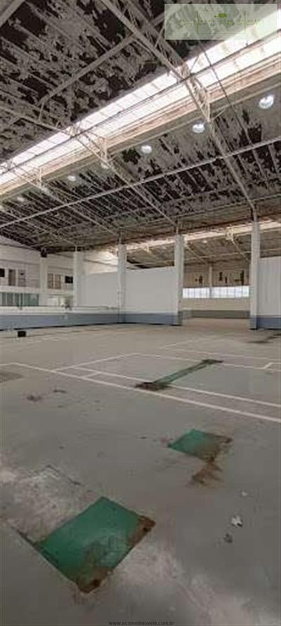 Depósito-Galpão, 5300 m² - Foto 5