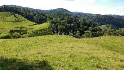 Sítio, 2 hectares - Foto 4
