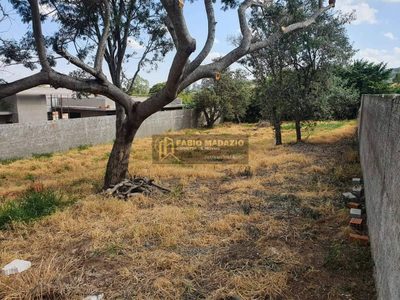 Terreno, 1000 m² - Foto 4