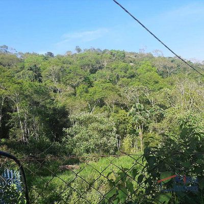 Terreno, 8 hectares - Foto 4
