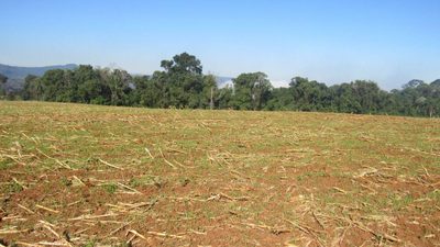 Terreno, 2 hectares - Foto 4