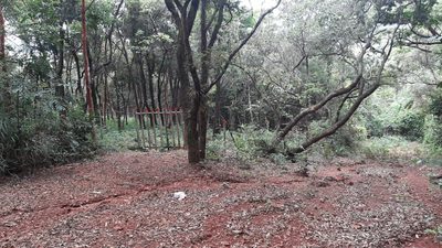 Terreno, 2023 m² - Foto 4