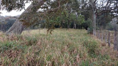 Terreno, 9200 m² - Foto 5