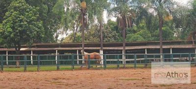 Fazenda, 2 hectares - Foto 2