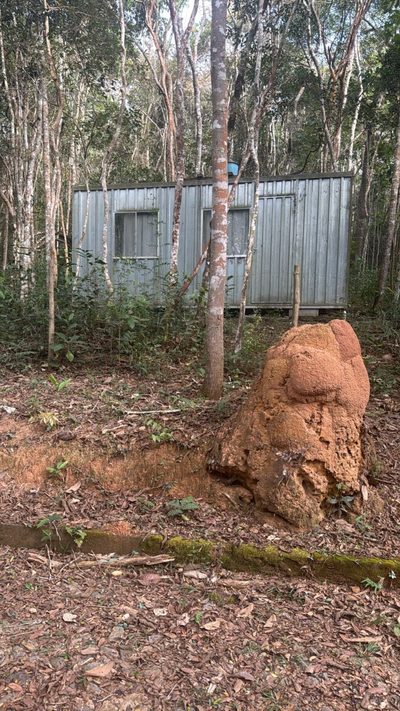 Terreno - Foto 2