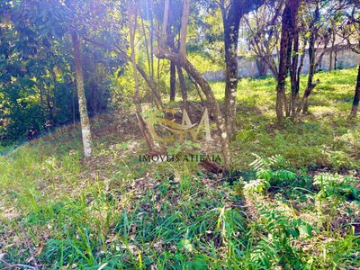 Terreno, 1680 m² - Foto 3