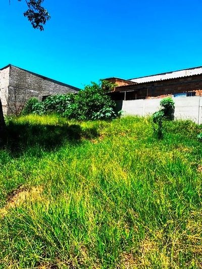 Terreno, 207 m² - Foto 4