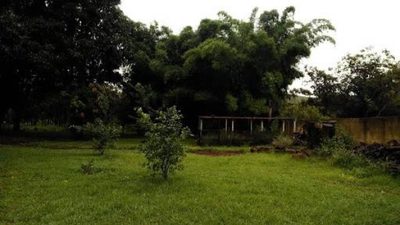 Chácara, 4 quartos, 5 hectares - Foto 4