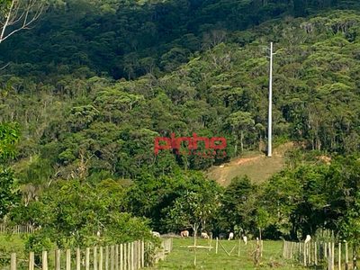 Terreno, 8000 m² - Foto 3