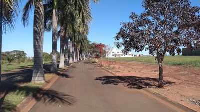 Terreno, 539 m² - Foto 3
