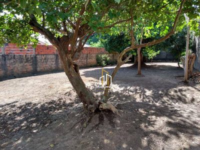 Terreno, 376 m² - Foto 4