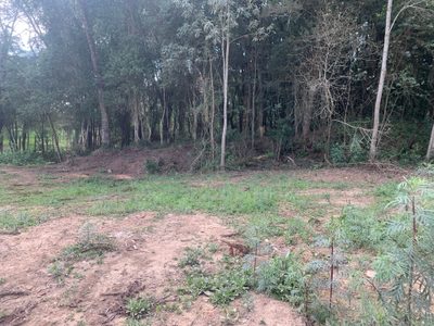 Terreno, 6000 m² - Foto 3