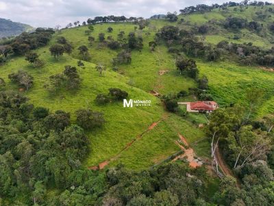 Sítio, 4 quartos, 11 hectares - Foto 4