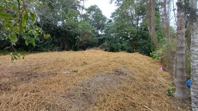 Terreno, 1800 m² - Foto 4