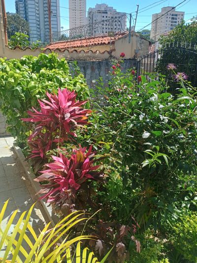 Casa, 2 quartos, 160 m² - Foto 5