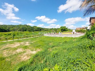 Terreno, 366 m² - Foto 3