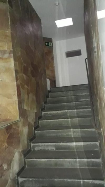 Loja-Salão, 520 m² - Foto 4