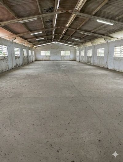 Depósito-Galpão, 1350 m² - Foto 2