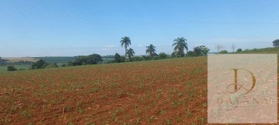 Terreno, 38 m² - Foto 5