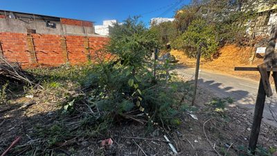 Terreno, 300 m² - Foto 5