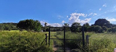 Terreno, 8 hectares - Foto 4
