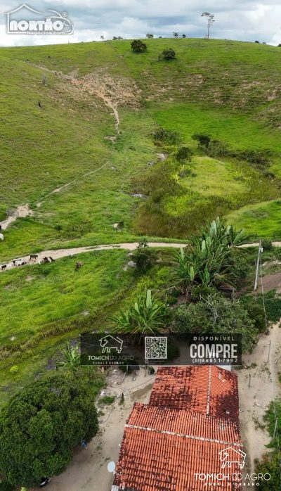 Casa, 300 m² - Foto 5