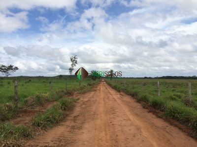 Terreno, 3600 m² - Foto 5