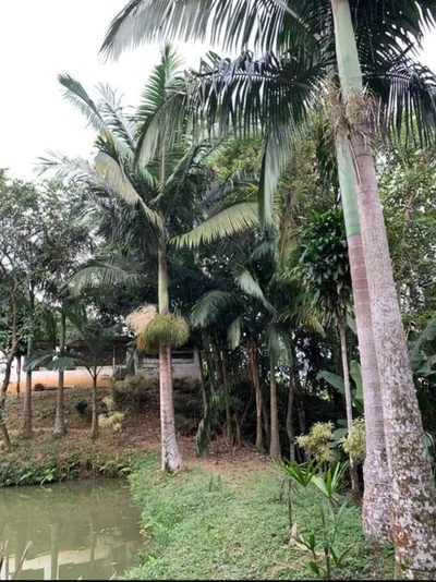 Casa, 70000 m² - Foto 4