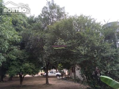 Casa, 4527 m² - Foto 5