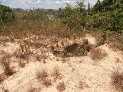 Terreno, 375 m² - Foto 5