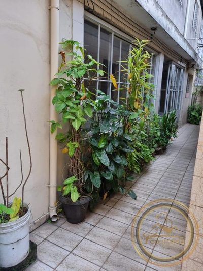 Terreno, 250 m² - Foto 2