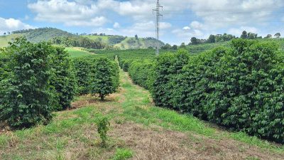Fazenda, 5 hectares - Foto 1