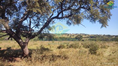 Fazenda, 2 quartos - Foto 5