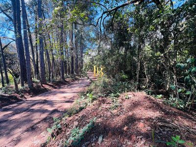 Terreno, 2 hectares - Foto 4