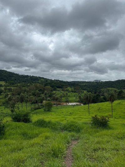 Sítio, 1 quarto, 5000 m² - Foto 4