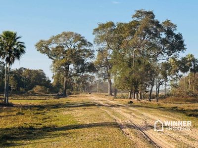 Fazenda, 95000 hectares - Foto 4