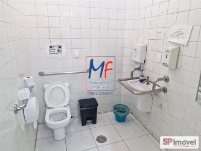 Loja-Salão, 317 m² - Foto 4