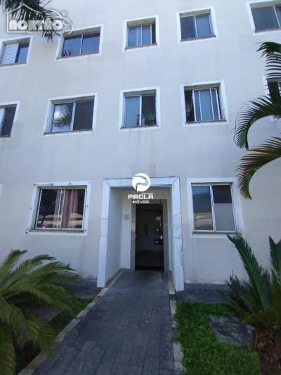 Casa, 3 quartos, 46 m² - Foto 4