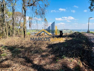 Terreno, 2 hectares - Foto 1