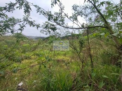 Terreno, 2 hectares - Foto 4