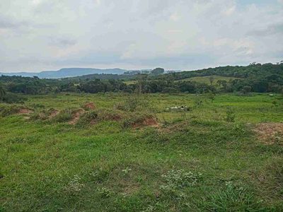 Sítio, 45 hectares - Foto 4