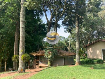Sítio, 6 quartos, 7800 m² - Foto 4